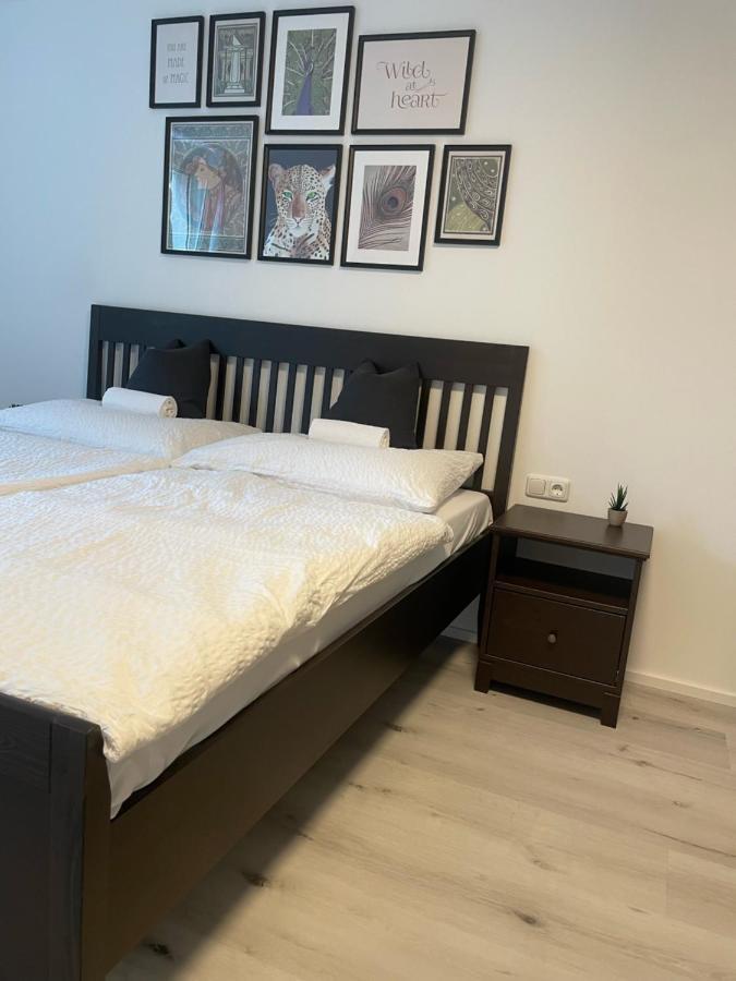 Xiapartment Höchst Dış mekan fotoğraf